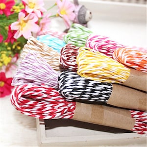 6 Servings Craft Paper Raffia Cord and Ribbon, Twined Paper Rope for Crafting,Each bundle is 10 m PH002