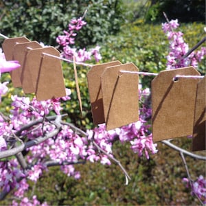 Étiquettes trapézoïdales en papier Kraft vierge, 30x50mm, pour cadeaux, étiquetage, étiquettes de vente, en papier Kraft fait à la main, pour mariage, bricolage, PP078, 50 pièces