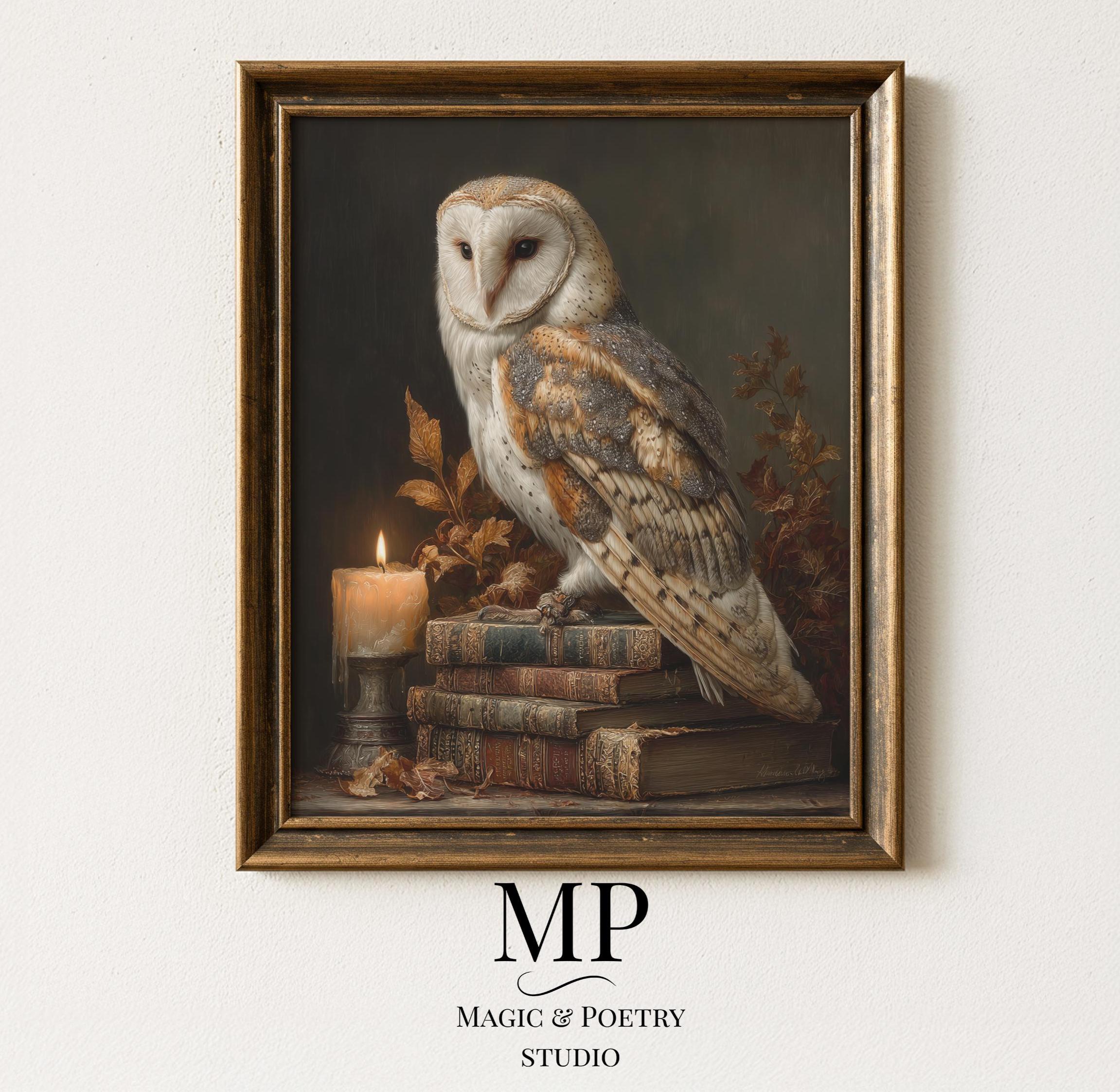 Antique Barn Owl Portrait - Moody Vintage Wildlife Art, Rustic Farmhouse Decor, Detailed Feathers, P