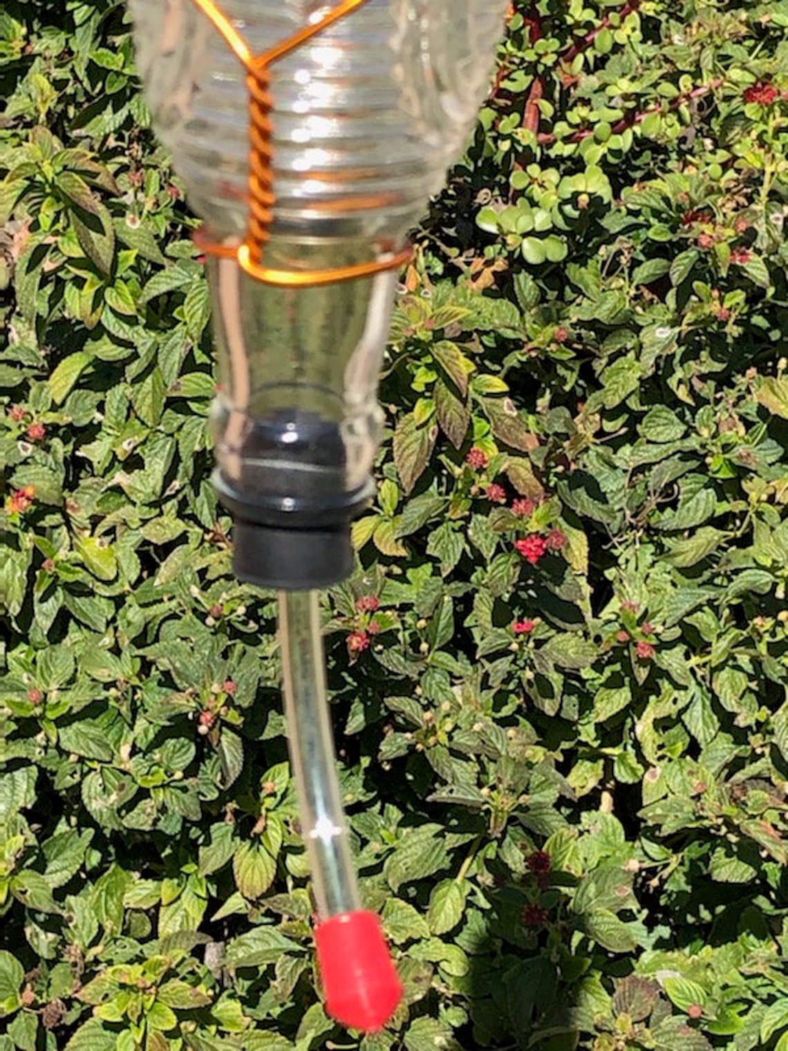 Hummingbird FeederSoda BottleBird FeederGlass Bird Etsy