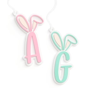 Personalized Monogram Easter Basket Gift Tag, Acrylic Bunny Gift Tag, Gift Wrap, Happy Easter, Easter Tag, 3D, Easter Basket Marker, Kids