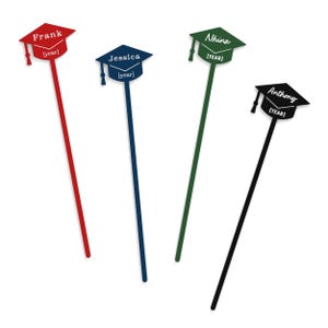 Personalized Name Graduation Drink Stirrers, Swizzle Sticks, Party Decor, Class of 2025, New Grad, School Grad Party, Celebration, Set of 12