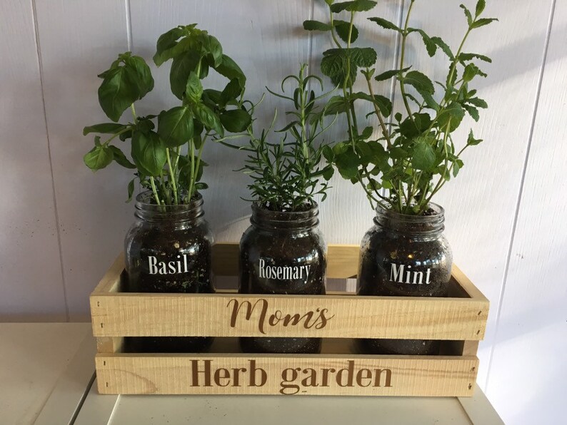 Little Herb Garden Etsy