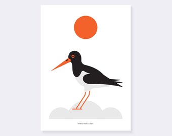 Oystercatcher A3 print