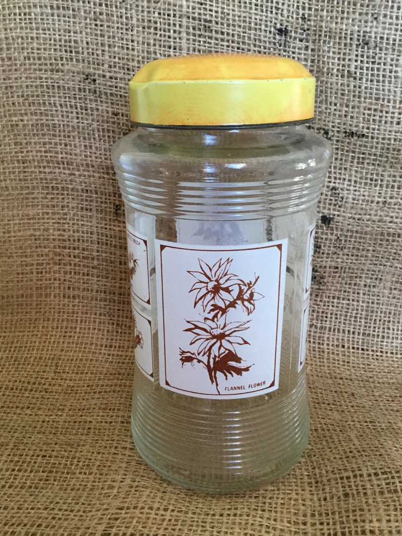 Vintage Nestle Glass Jar Australian Wildflowers Decoration Etsy