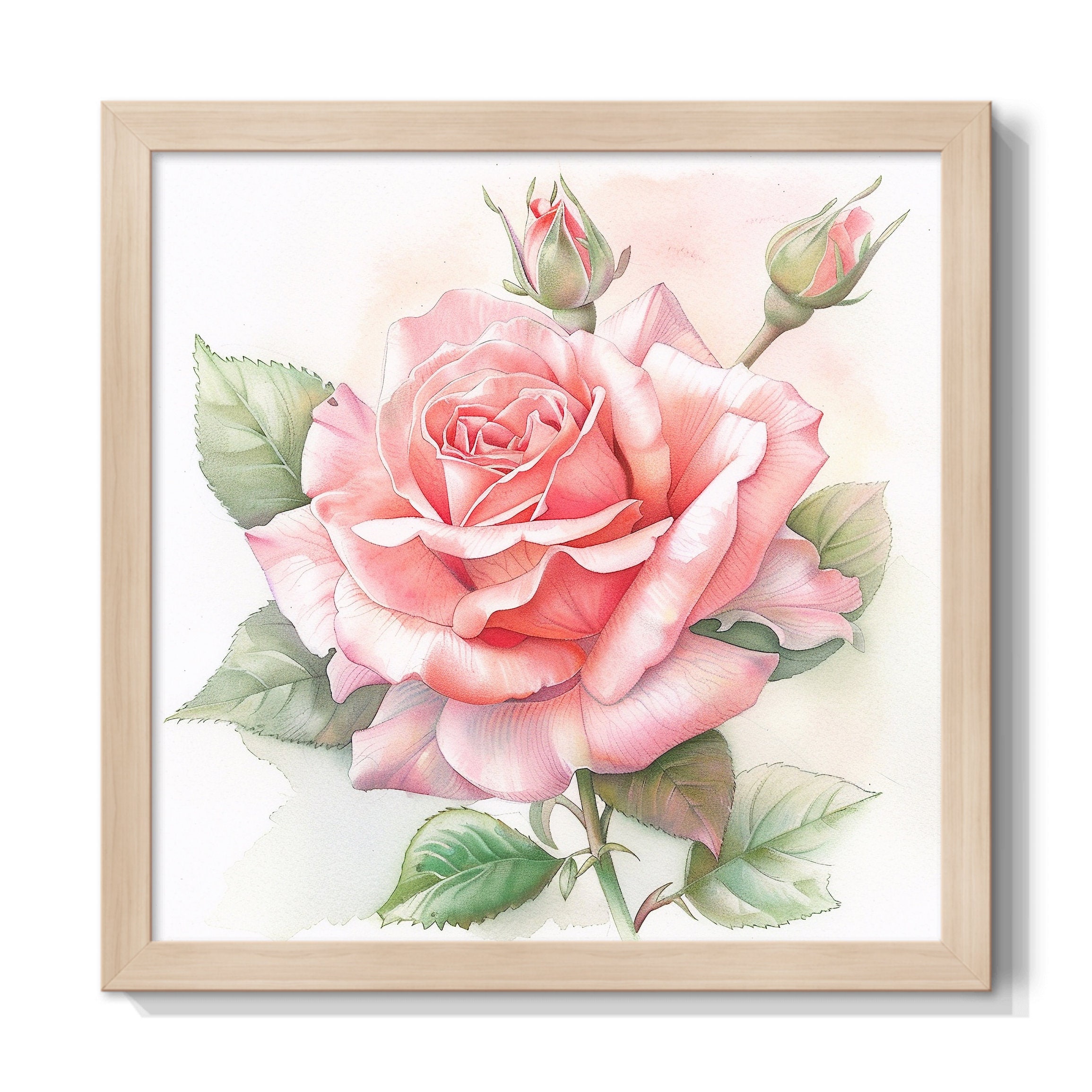 Clipart, Picture, Pink Rose, Beautiful, Watercolor, Hi-res JPEG - Etsy