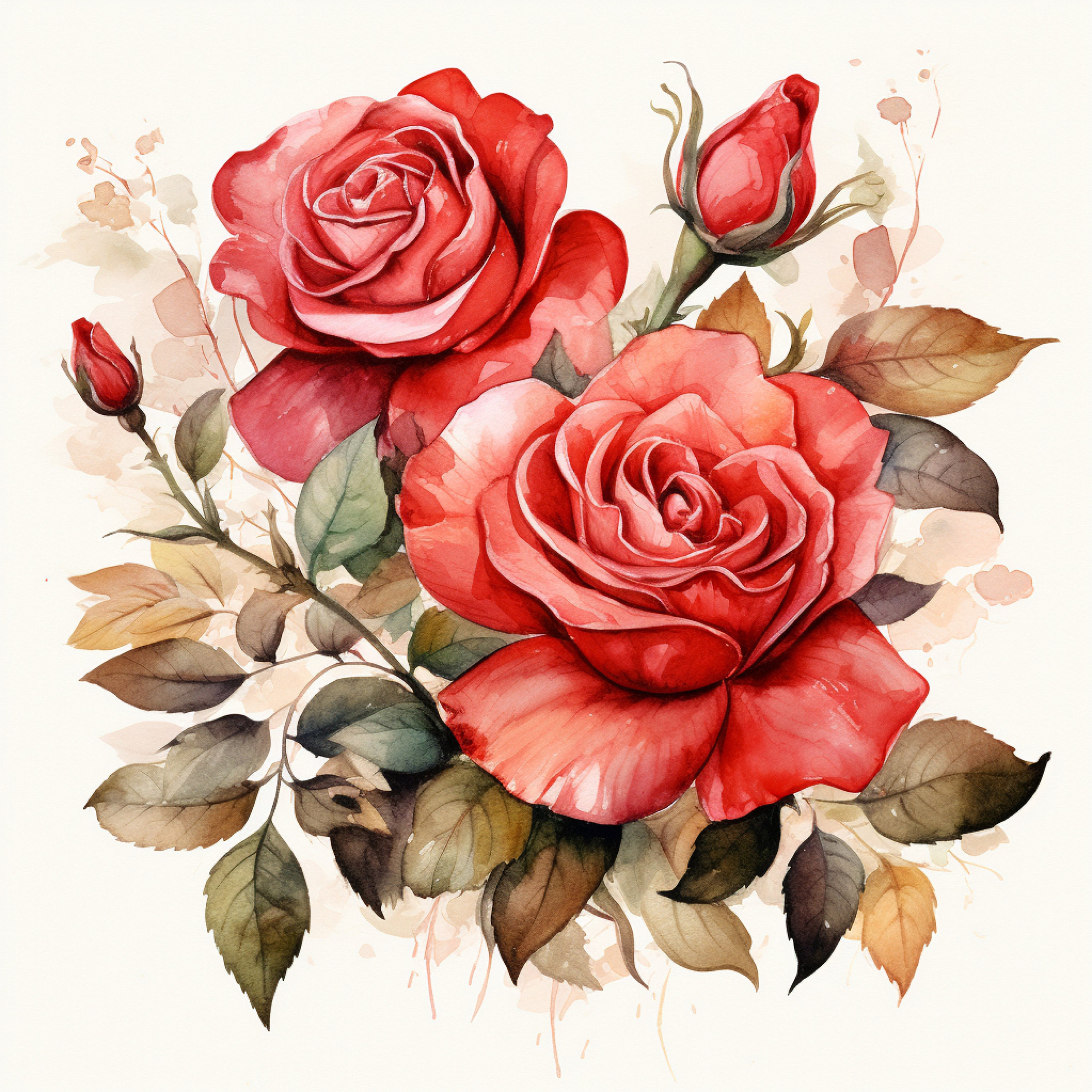 Clipart Roses Watercolor 3 JPEG - Etsy