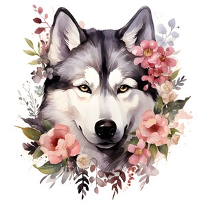 Clipart Siberian husky flowers 3 Hi-res JPEG