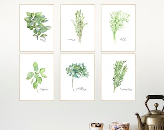 Herb Collection, Herb Set of 6, Watercolor Illustration, Herbs Kitchen Decor, Kitchen Decor, Herb Sets, Kitchen Decor, Natural Kitchen Art