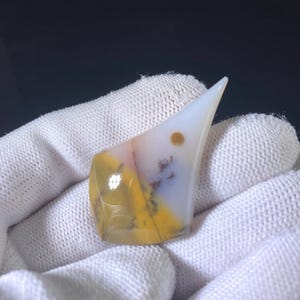 Lapidaire cabochon van agaat met stippen uit Oregon