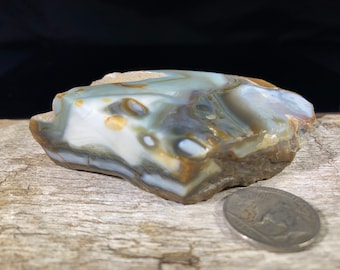 Tahoma Agate Polished Specimen Washington