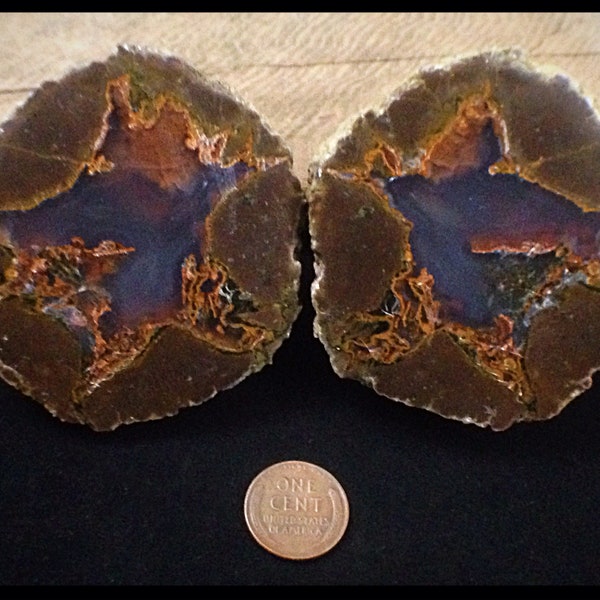 Nevada Polished Thunderegg #79 Bed