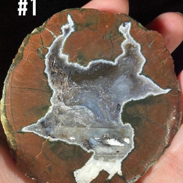 Espécimes polidos AAA Buchanan Thunder Egg, Oregon Thunderegg, Meio Thunderegg