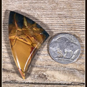 May include: A triangular piece of polished agate with a mix of brown, yellow, red, and blue colors. The agate is about the size of a US nickel.