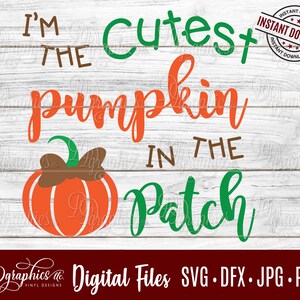 Cutest Pumpkin in the Patch SVG, Halloween Fall Design, Cut files (Digital Files)