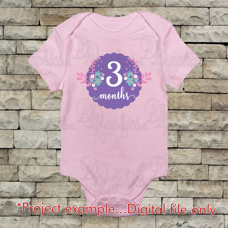 Download Baby Month Milestones SVG/ Birth thru One year old/ Month | Etsy