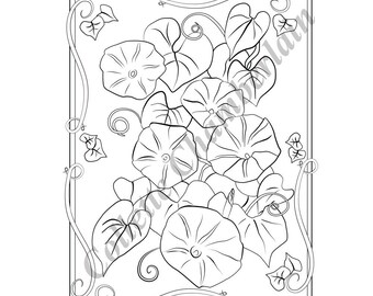 Morning Glories Coloring Page