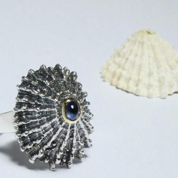 Silver shell, sapphire in golden setting ladies ring. Casted shell, sapphire in 14 carat golden setting ring.