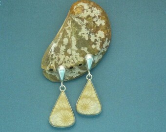 Ett par örhängen med fossil korall och silver. Silverörhängen med hängande agaterad fossil korall, silverdroppformade hängen.