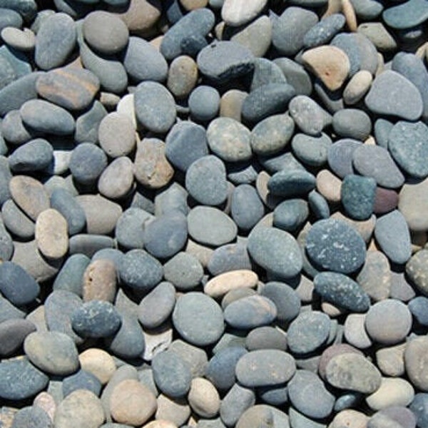 Box Full of Rocks, Mexican Beach Pebbles, Mixed Color Rocks, Landscape Pebble, 1-2" Rocks