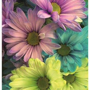 Reispapier Decoupage A3 | Klebriges Maulbeerpapier für Decoupage 16,53''X11,69'' | Blumenmuster für Decoupage PK 2256