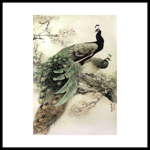 Rijstpapier voor decoupage | Kleverig moerbeipapier voor decoupage | Patroon exotische dieren pauw voor decoupage | Opties voor groot formaat PR2041