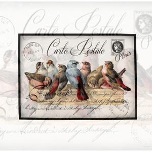 Reispapier für Decoupage | Große Größenoptionen | Vögel Muster Mulberry Washi Blatt | Upcycle Möbel