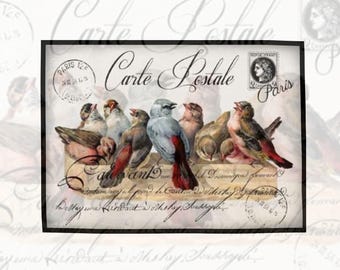 Rice Paper for Decoupage | Large Size options | Birds Pattern Mulberry Washi Sheet | Upcycle Furniture