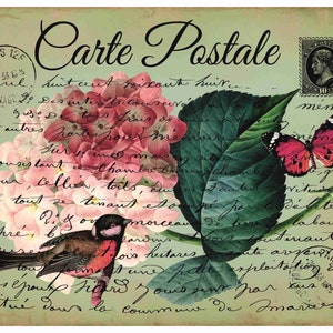 Reispapier Decoupage A3 | Klebriges Maulbeerpapier für Decoupage 16,53''X11,69'' | Blumenmuster für Decoupage PR 2170