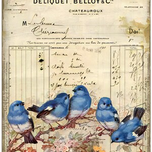 Selbstklebendes Reispapier für Decoupage |  Größe A3 | Blaue Vögel Muster | Schälen und aufkleben