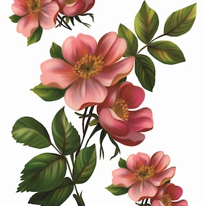 Reispapier für Decoupage A3 | Sticky Mulberry Papier für Decoupage 16,53''X11,69'' | Blumenmuster für Decoupage PR 2341