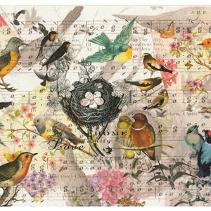 Decoupage Papier für Möbel | Reispapier für Decoupage A3 | Sticky Paper für Decoupage | Papier Vögel Muster für Decoupage PK2667