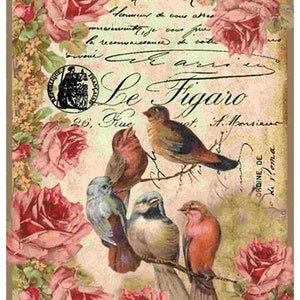 Decoupage Papier für Möbel | Reispapier für Decoupage A3 | Papier für Decoupage | Vogel-Muster aus Papier für Decoupage PK2585