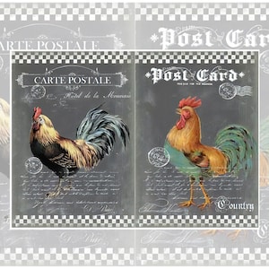 Carta di riso per decoupage A3 / Carta di gelso per decoupage 16,53''X11,69'' / Motivo con animali per decoupage PK 8074