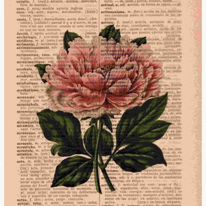 Reispapier Decoupage A3 | Klebriges Maulbeerpapier für Decoupage 16,53''X11,69'' | Blumenmuster für Decoupage PR 2518