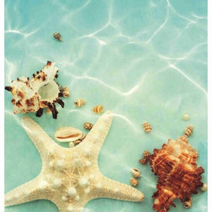 Papel de arroz para decoupage de muebles tamaño A3 / Papel washi adhesivo y de arroz para decoupage / Papel de arroz con estampado de estrellas de mar para decoupage PR 2250