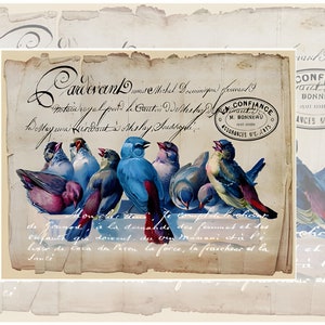 Reispapier für Decoupage A3 | Maulbeerpapier für Decoupage 42 cm X 30 cm | Blumenmuster für Decoupage Fotopapier PR 8024
