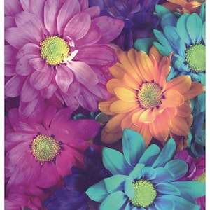 Reispapier für Decoupage A3 | Klebriges Maulbeerpapier für Decoupage 16,53''X11,69'' | Blumenmuster für Decoupage PK 2247