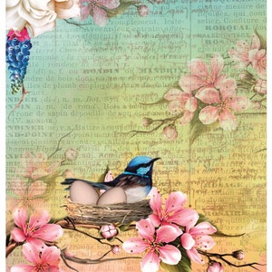 Reispapier Decoupage A3 | Klebriges Maulbeerpapier für Decoupage 16,53''X11,69'' | Blumenmuster für Decoupage PR 2602