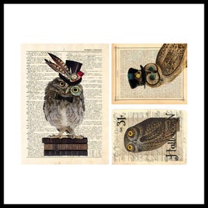 Interlining Decoupage Transfer | Watte-Transfer | Selbstklebende Decoupage | Möbeltransfer | Stoff-Transfer | Blumenmuster K001