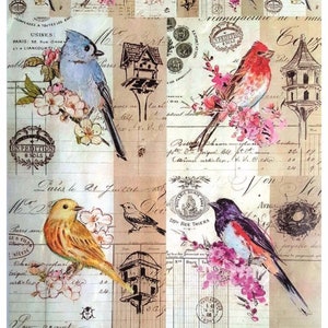 Decoupage Paper for Furniture | Rice Paper for Decoupage A3 | Sticky Paper for Decoupage | Paper Birds Pattern for Decoupage PK2695