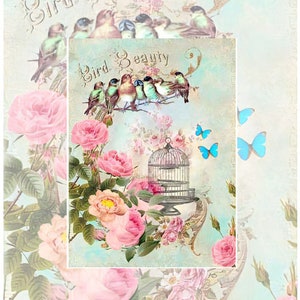 Carta di riso per decoupage A3 / Carta di gelso per decoupage 16,53''X11,69'' / Motivo animali in carta Washi e riso per decoupage PK 8003