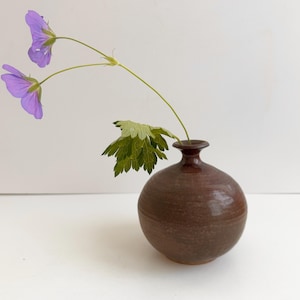 May include: A small, round, dark brown ceramic vase with a narrow neck and a flared rim. A single green stem with a jagged leaf and two purple flowers with five petals each extends from the opening of the vase, curving gracefully to the left.