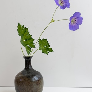 May include: A small, round, dark brown ceramic vase with a narrow neck holds a single stem featuring two vibrant purple geranium flowers and several green, deeply lobed leaves. The vase has a smooth, mottled finish with darker tones at the base.