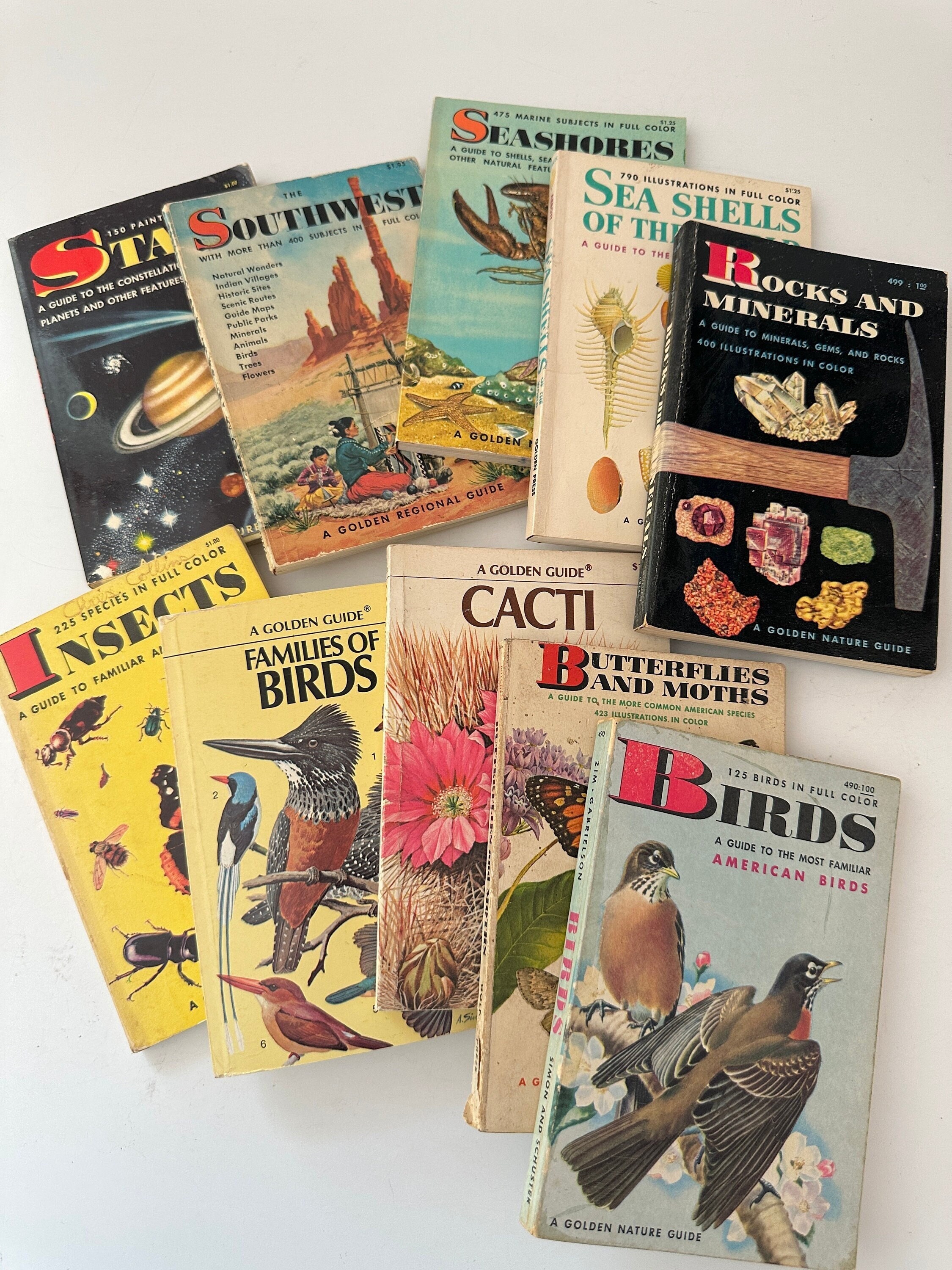 Pocket Nature Guides - Etsy