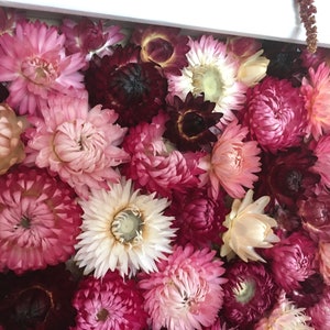 Handmade Flower Photo Frame immagine 4