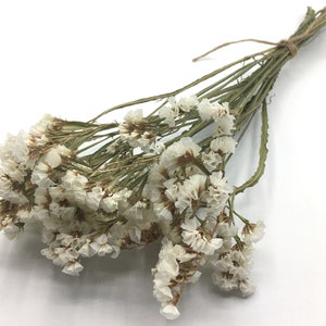 May include: A bunch of dried white baby's breath flowers tied together with twine. The flowers are small and delicate, with a slightly off-white colour.
