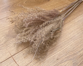 Dried Miscanthus