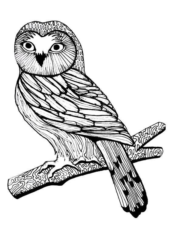 Download Items similar to Adult coloring page, woodland, owl, birds of prey, owl coloring, woodland ...