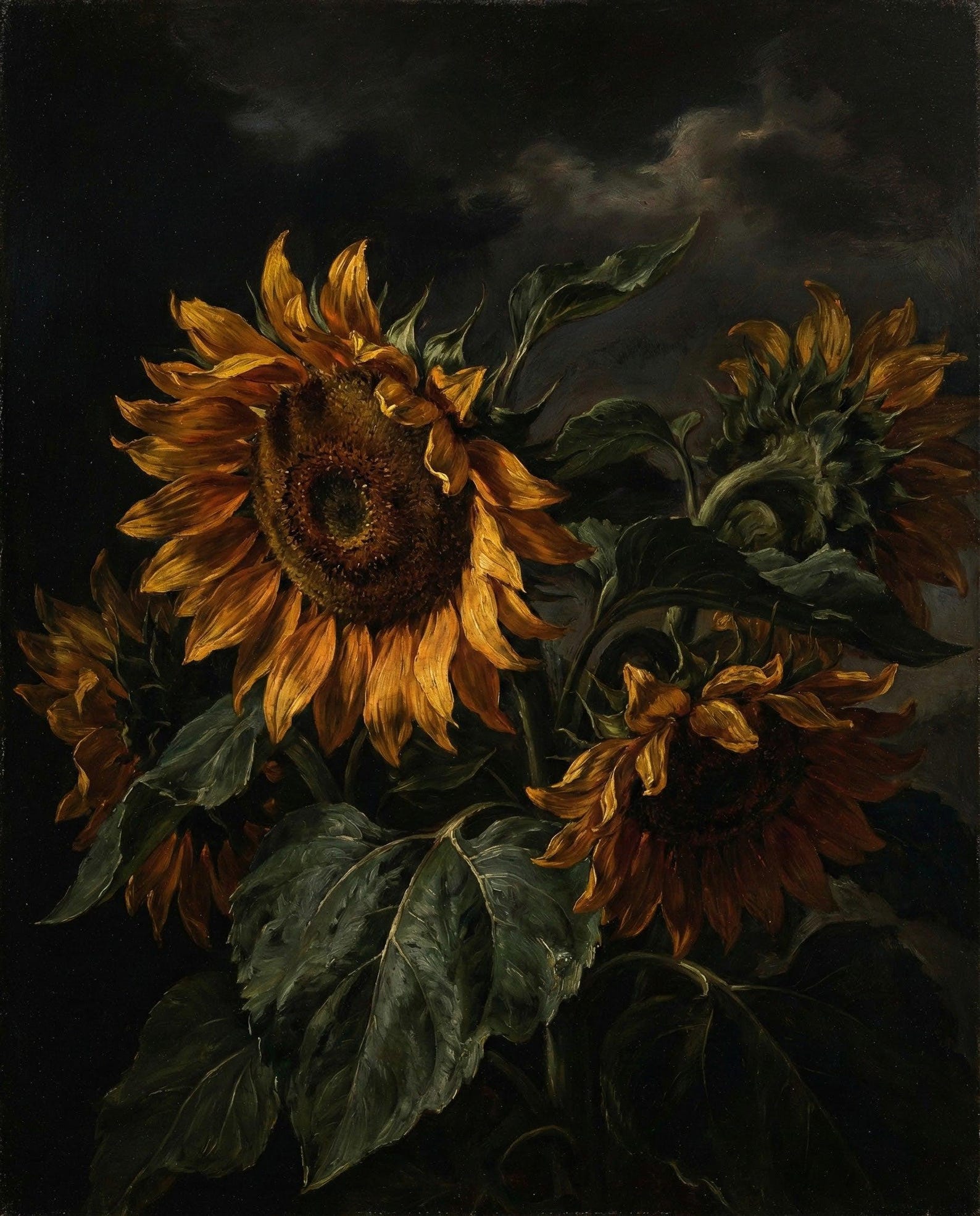 Sunflowers Moody Floral Wall Art